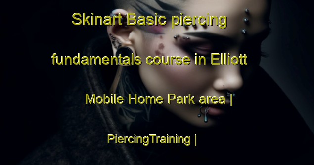 Skinart Basic piercing fundamentals course in Elliott Mobile Home Park area | PiercingTraining | PiercingClasses | SkinartTraining-United States